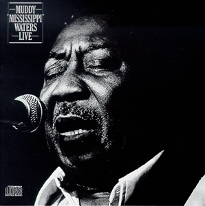 muddy waters